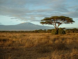 gal/Honeymoon/Amboseli/_thb_DSCF0003.JPG